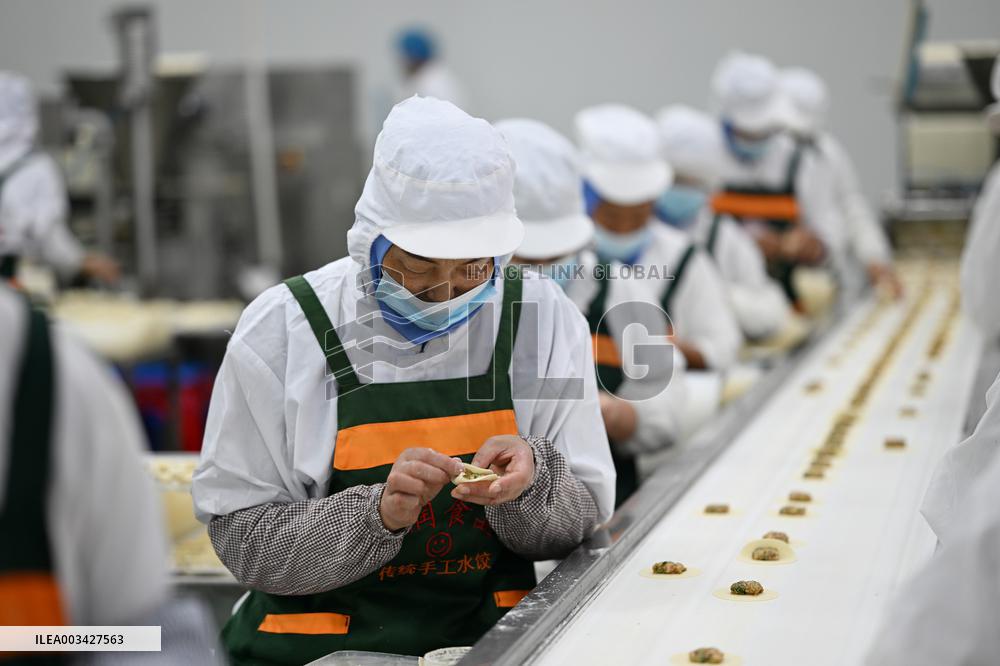 Dumpling Production Base in Suqian