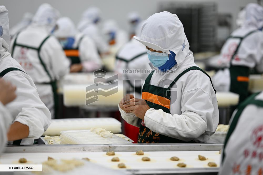 Dumpling Production Base in Suqian