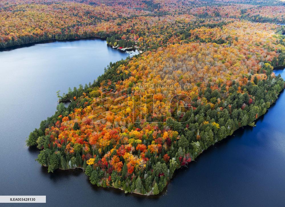 Autumn Scenery - Ontario