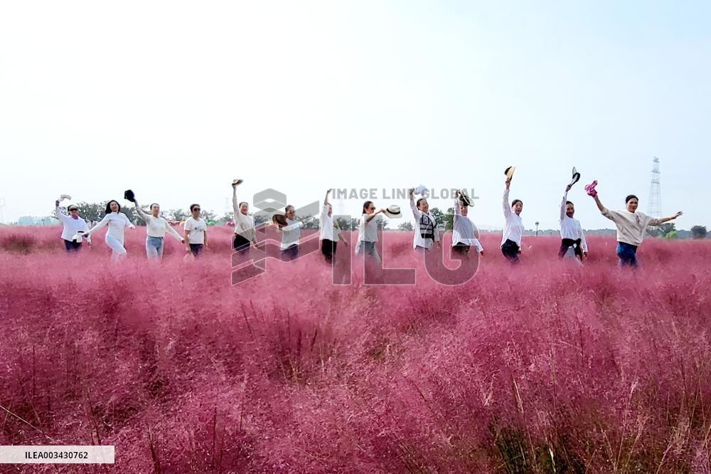 Double Ninth Festival Celebrate in Lianyungang