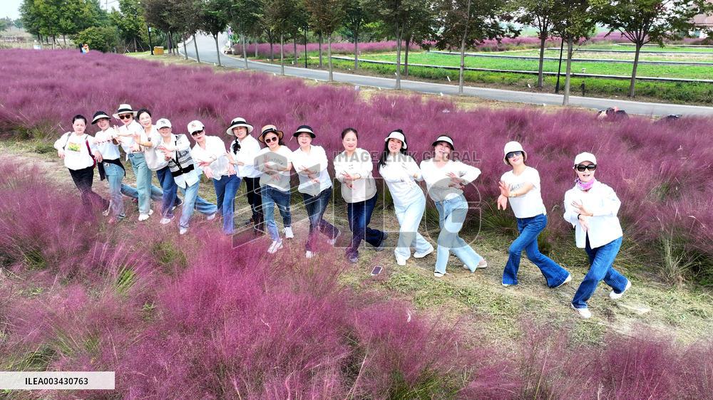 Double Ninth Festival Celebrate in Lianyungang