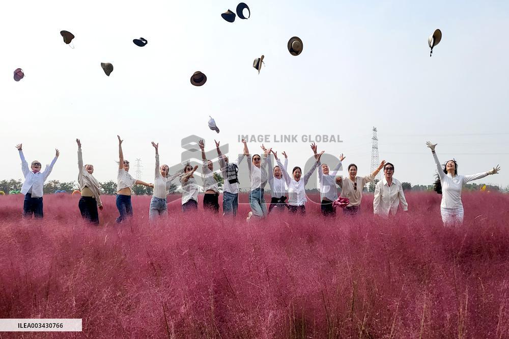 Double Ninth Festival Celebrate in Lianyungang