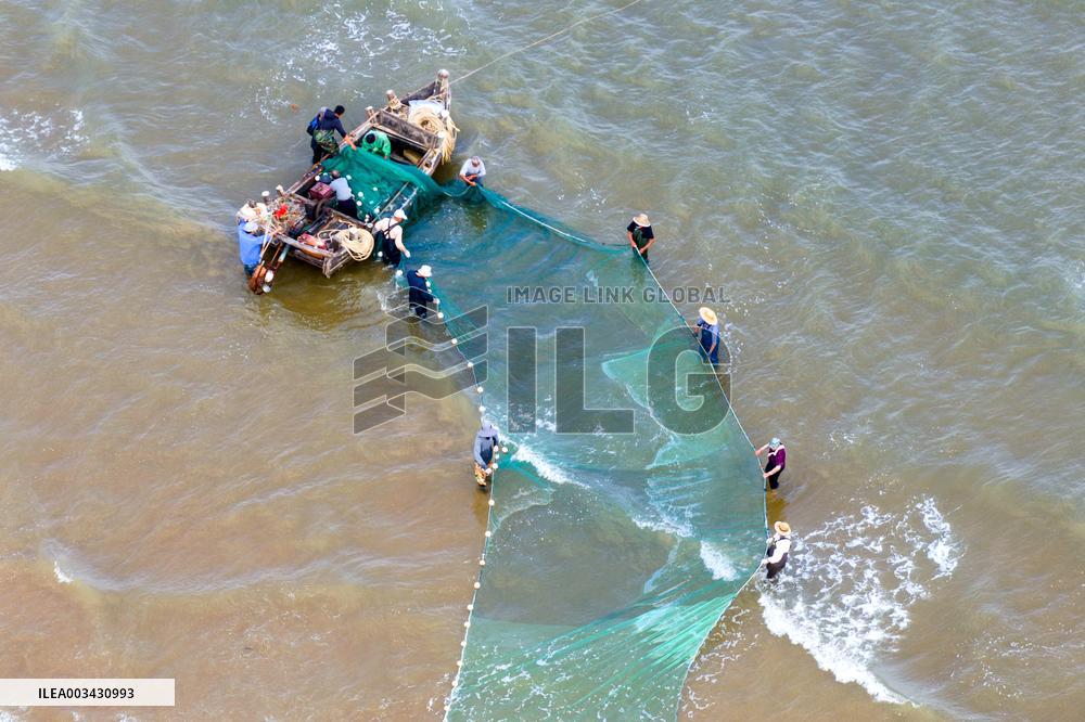 Seafood Harvest in Qingdao
