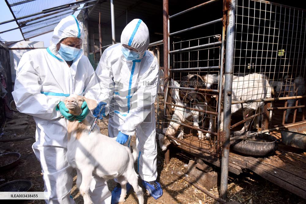 Livestock Epidemic prevention