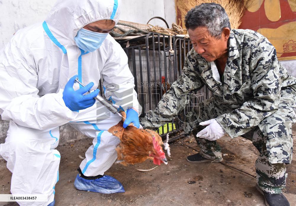 Livestock Epidemic prevention