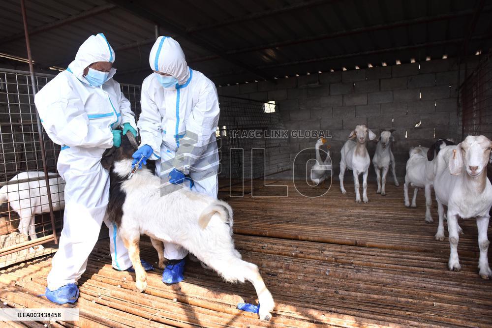 Livestock Epidemic prevention