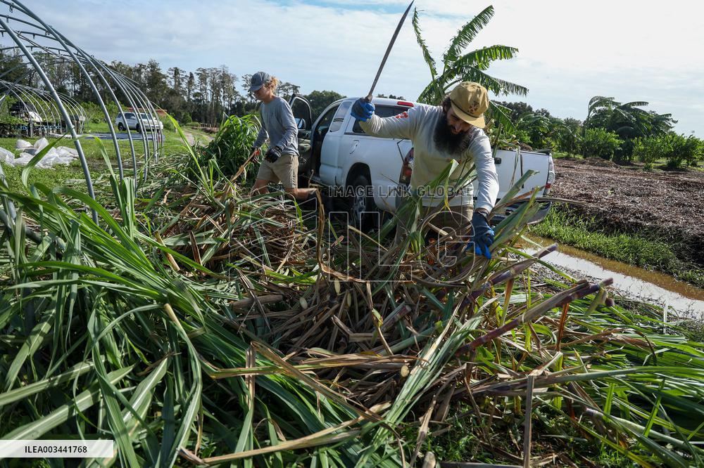 Aftermath Of Hurricanes Helene And Milton - US