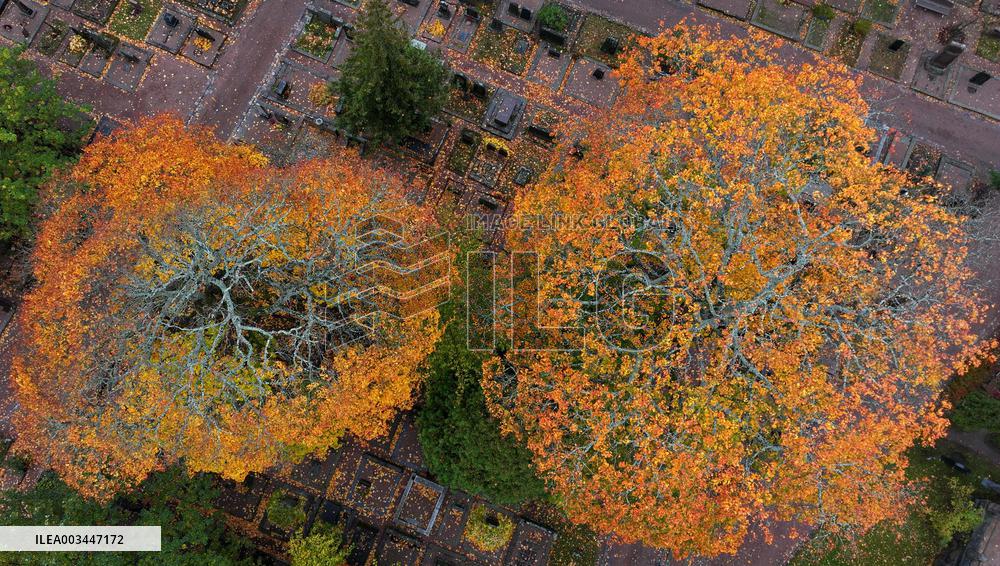 Autumn colours in Helsinki