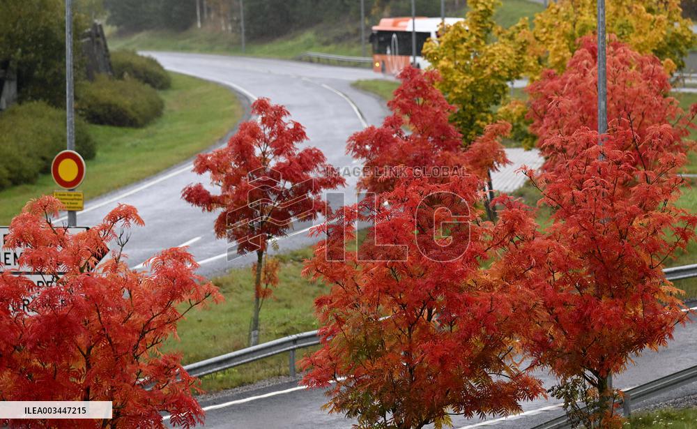 Autumn colours in Espoo