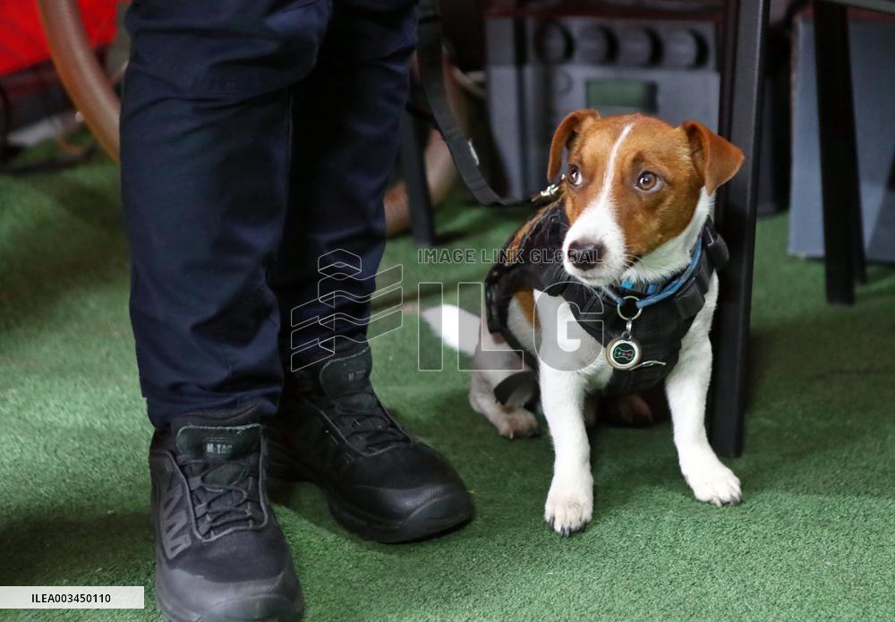 Ukrposhta gives mine clearance vehicle to Chernihiv region rescuers