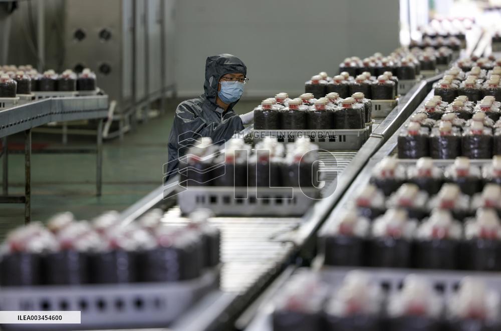 An Intelligent Production Workshop in Tongren