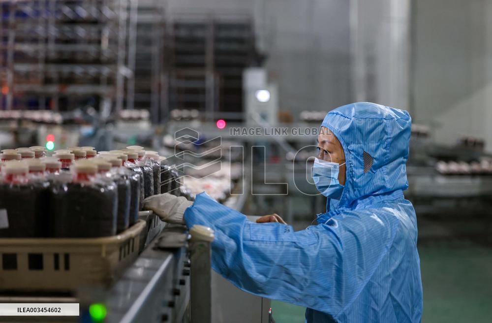 An Intelligent Production Workshop in Tongren