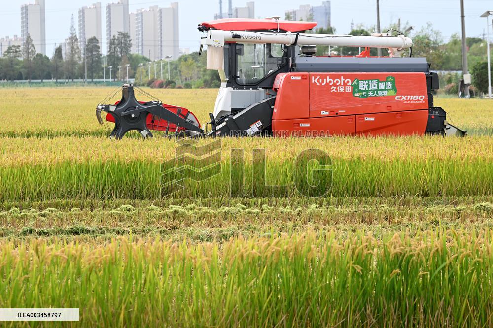 An Organic Rice Planting Base in Taicang
