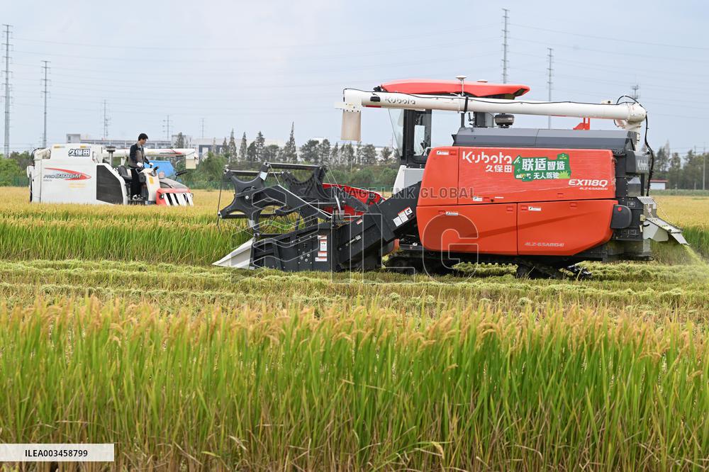 An Organic Rice Planting Base in Taicang