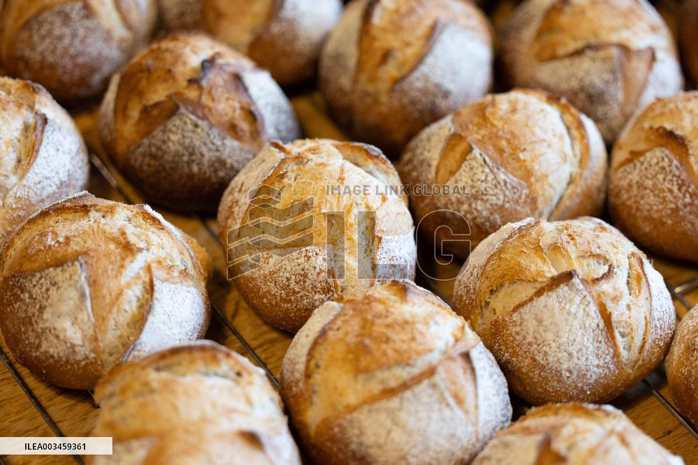 Visit of Cuisines modes d'emploi(s) school - Paris