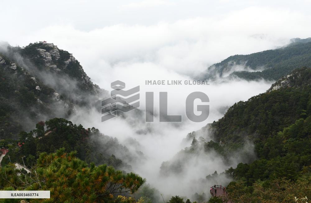 Lushan Mountain Sea Clouds