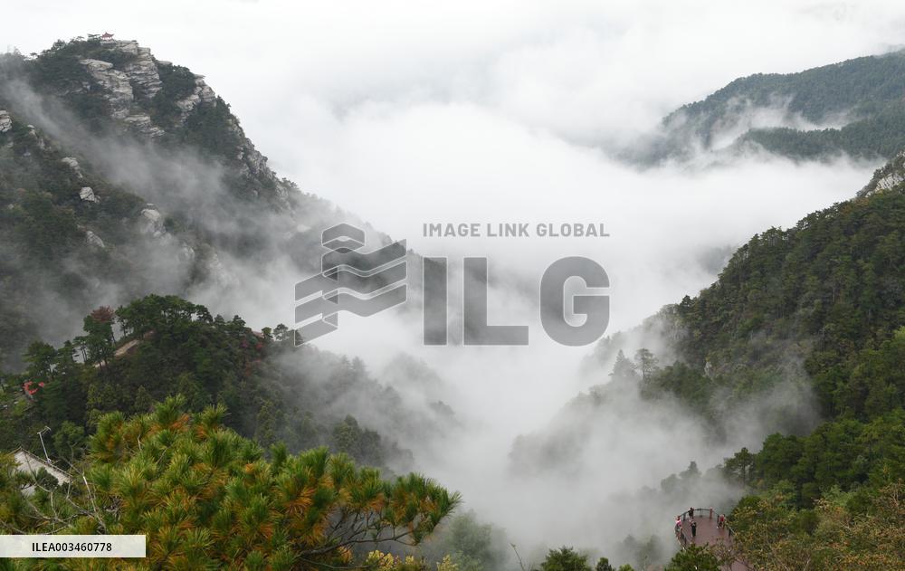 Lushan Mountain Sea Clouds
