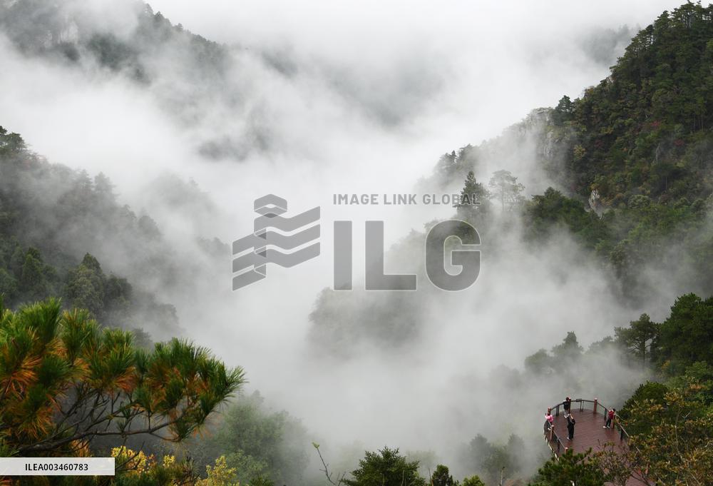 Lushan Mountain Sea Clouds