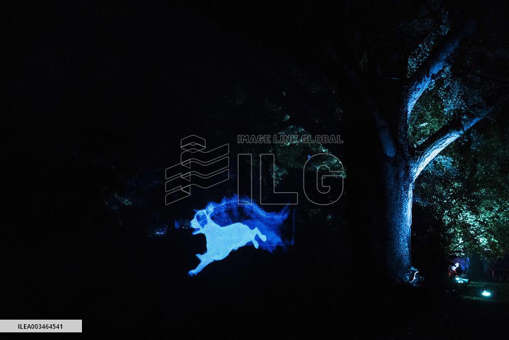 Harry Potter the Forbidden Forest experience -  Montauban