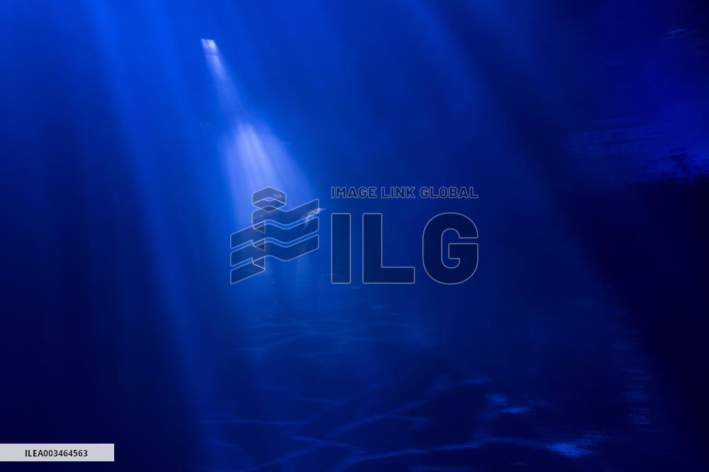 Harry Potter the Forbidden Forest experience -  Montauban