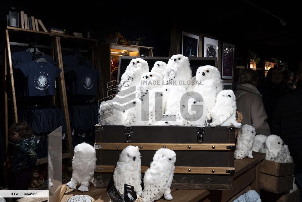 Harry Potter the Forbidden Forest experience -  Montauban