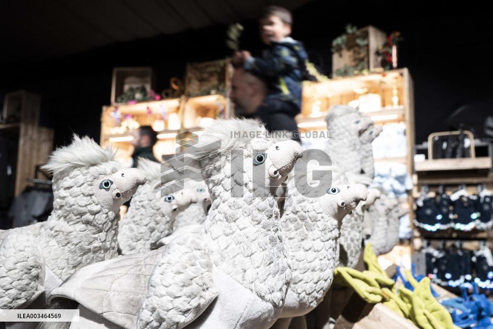 Harry Potter the Forbidden Forest experience -  Montauban