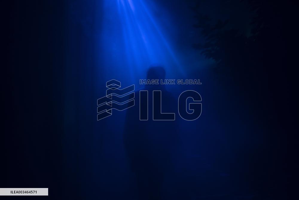 Harry Potter the Forbidden Forest experience -  Montauban