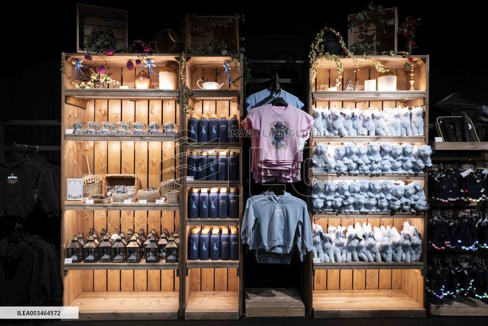 Harry Potter the Forbidden Forest experience -  Montauban