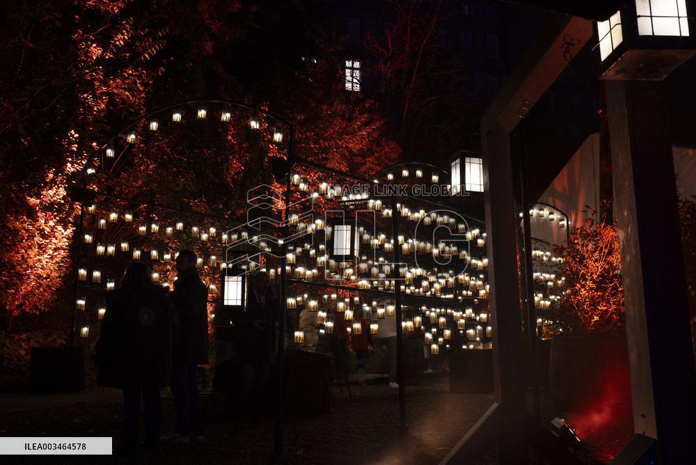 Harry Potter the Forbidden Forest experience -  Montauban