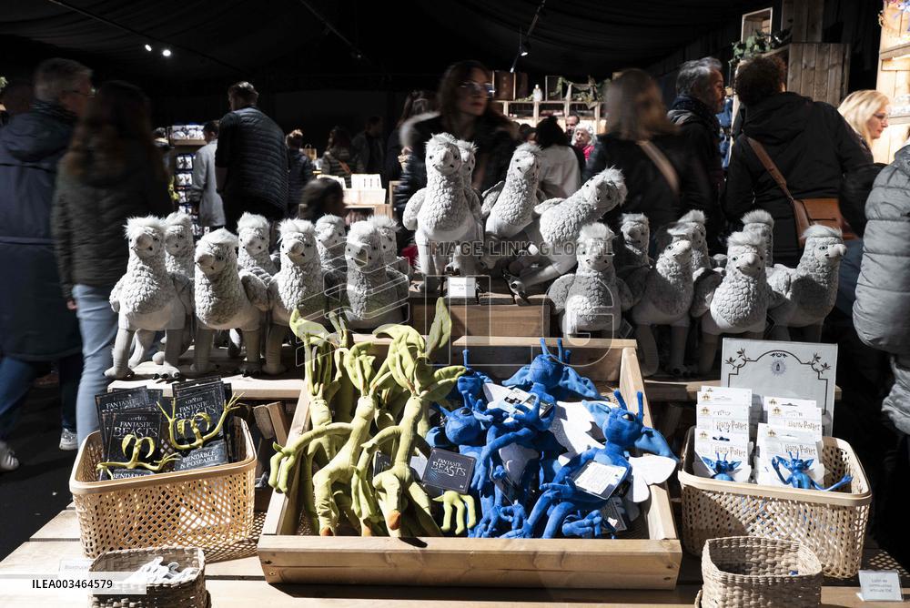 Harry Potter the Forbidden Forest experience -  Montauban