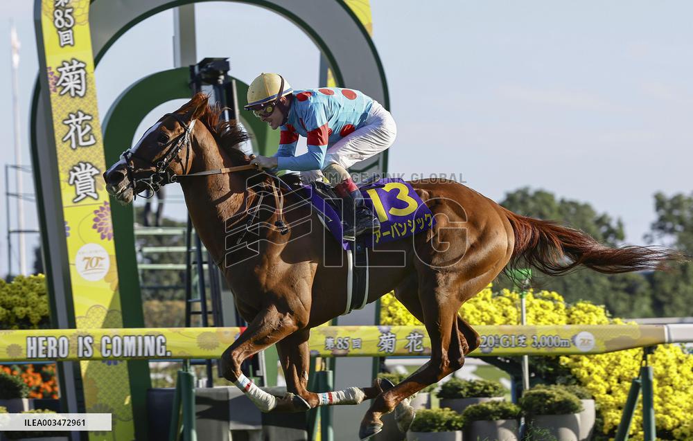 Horse racing: Kikka-sho