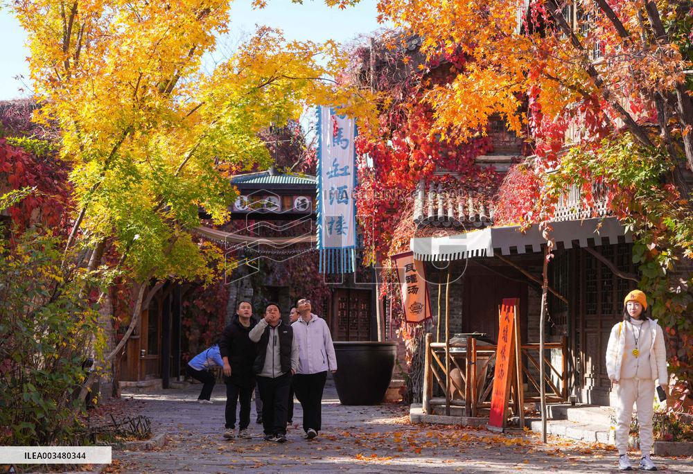 Autumn Scenery - China
