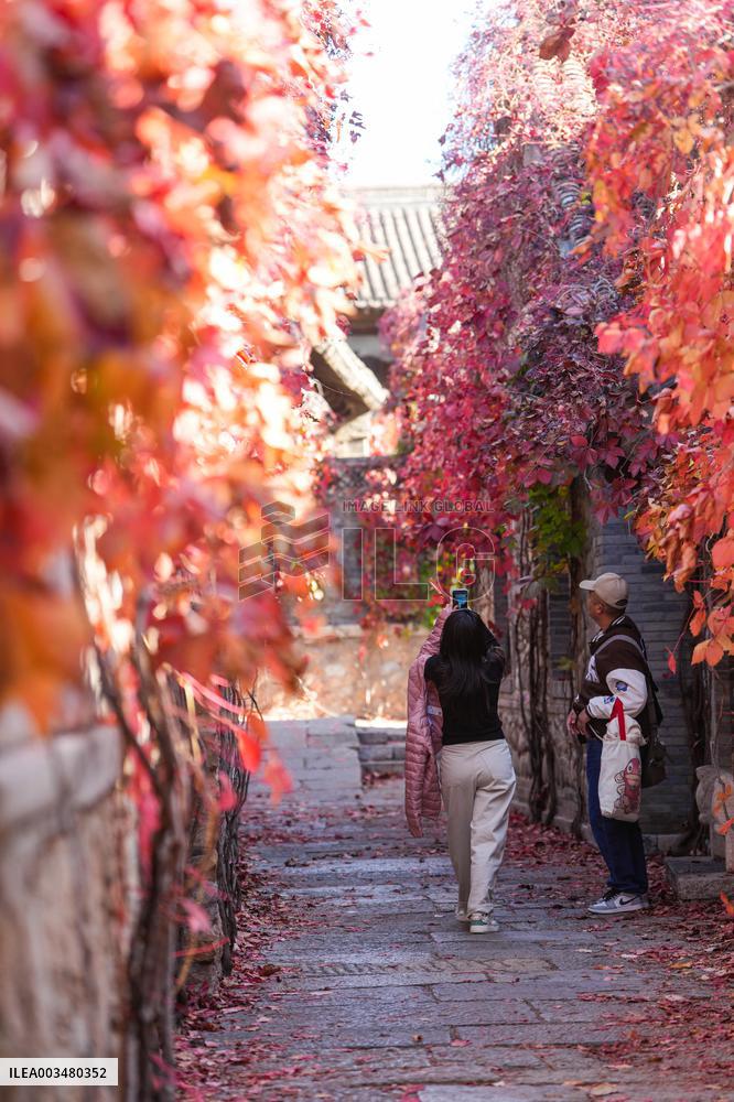 Autumn Scenery - China