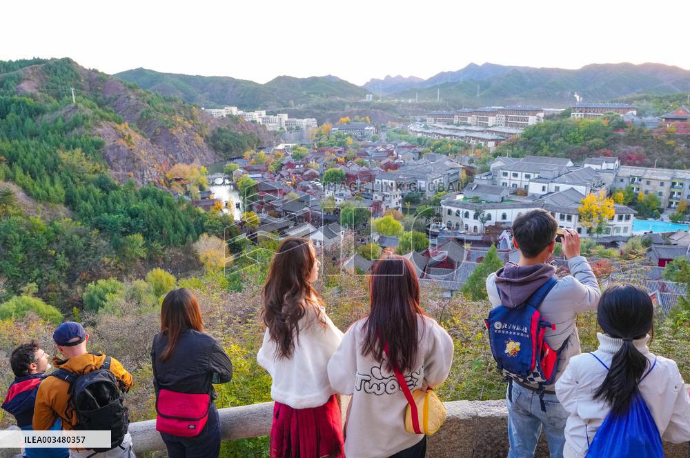 Autumn Scenery - China