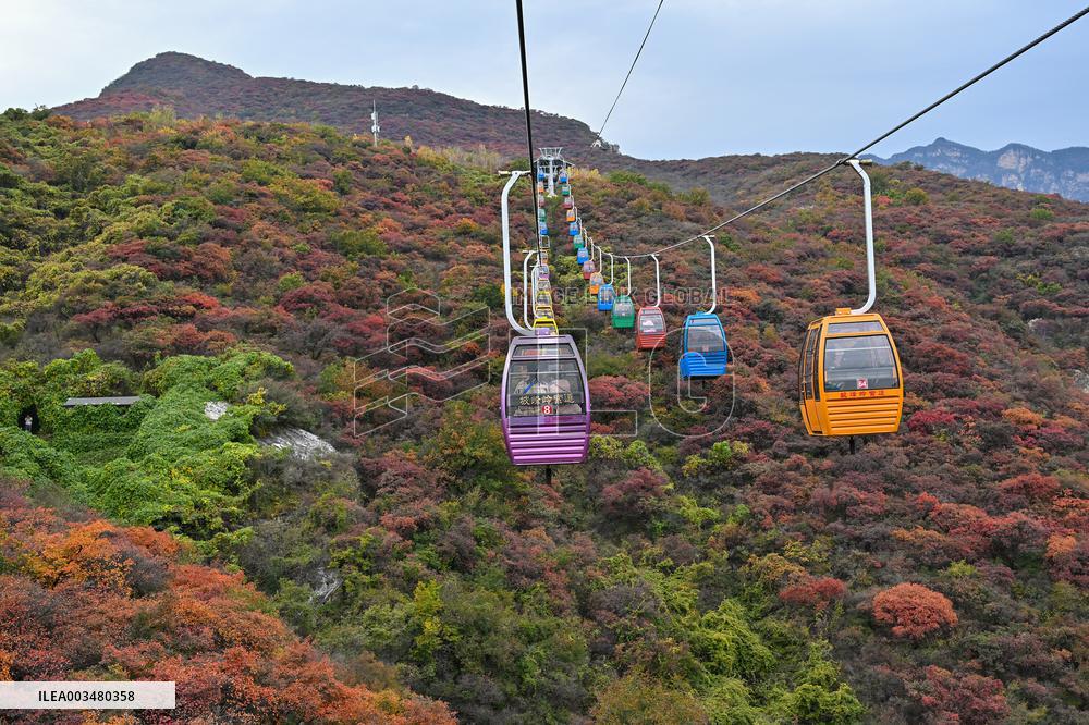 Autumn Scenery - China