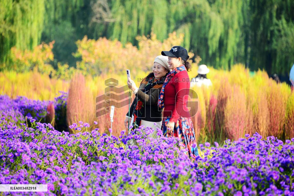 Beijing Builds Garden City