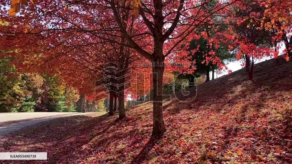 US: Fall Foliage Peaks In Parts Of Massachusetts