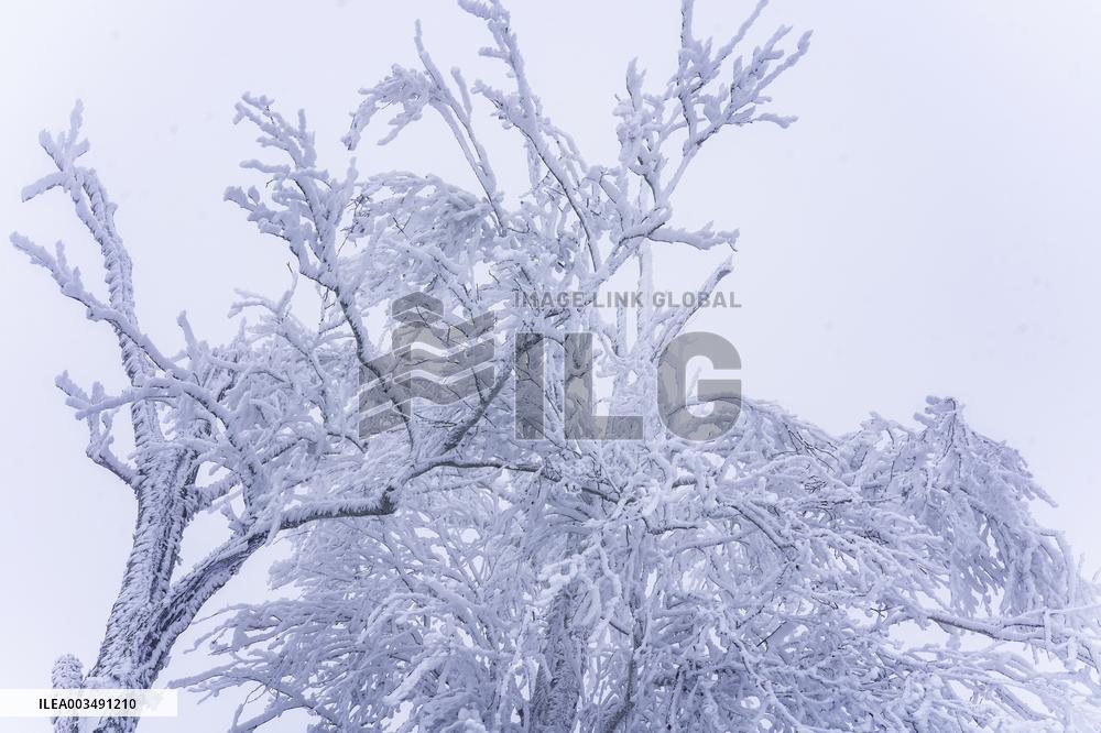2024 First Alpine Rime Landscape in Jilin