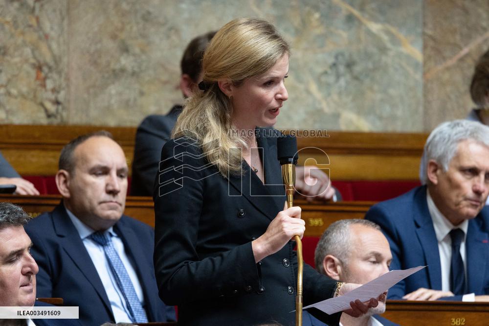Questions to the government at the French National Assembly - Paris