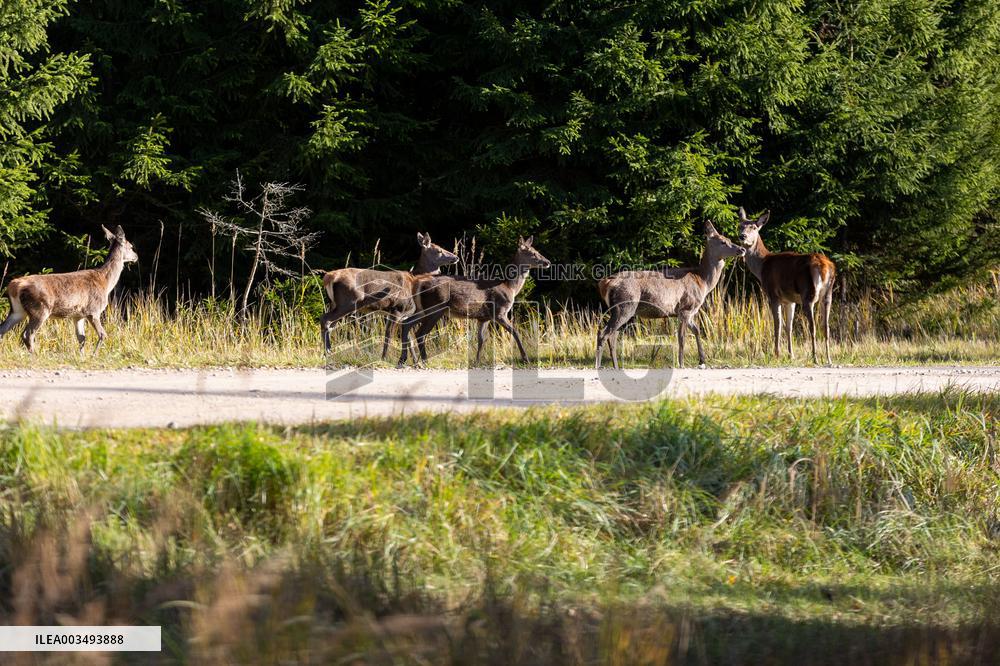 Toosikannu Holiday Center and Wildlife Park