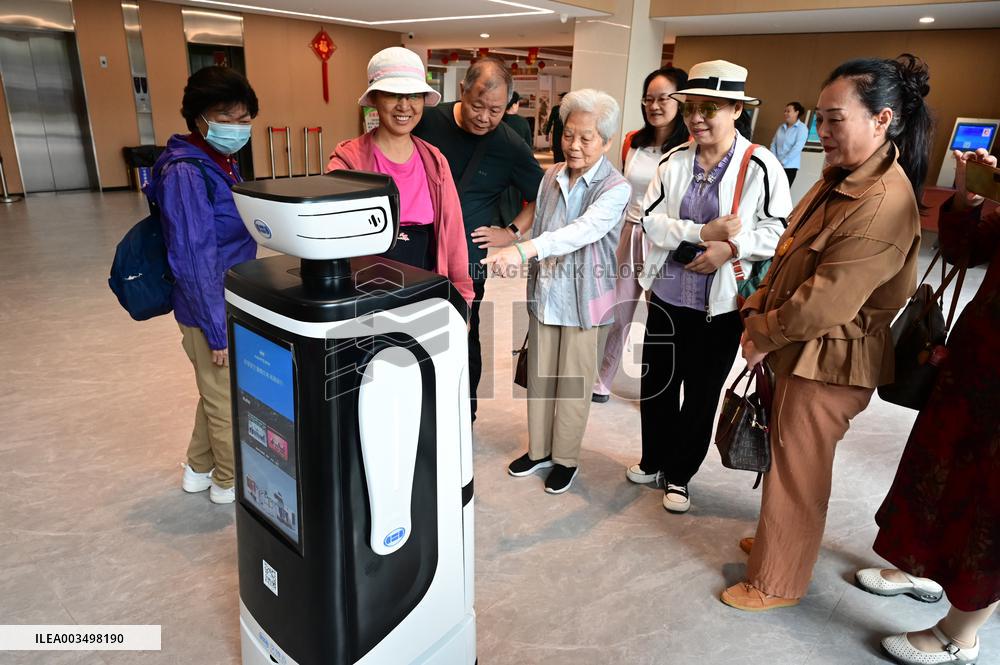 Intelligent Companion Robot For The Elderly