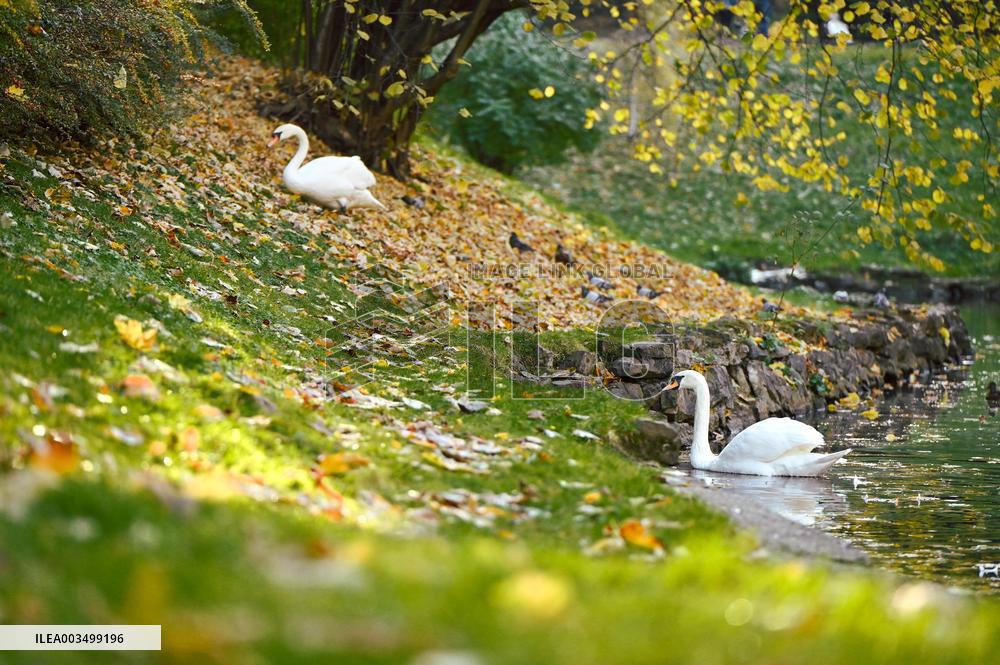 Stryiskyi Park in Lviv