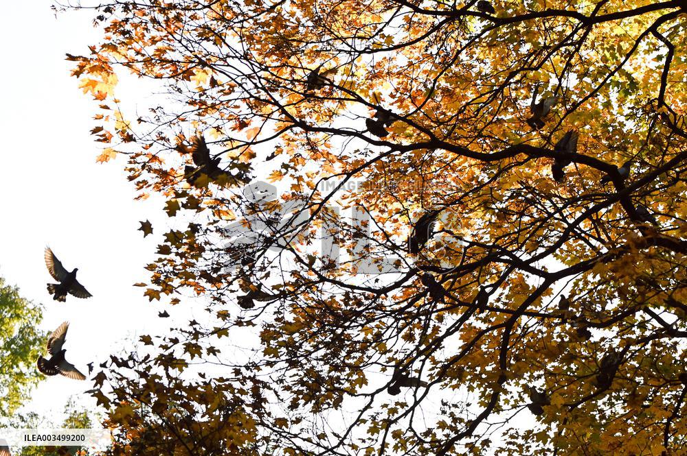 Stryiskyi Park in Lviv