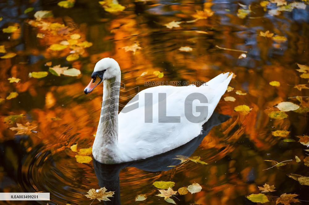Stryiskyi Park in Lviv