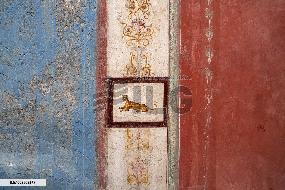 Tiny House With Erotic Frescoes Uncovered - Pompeii