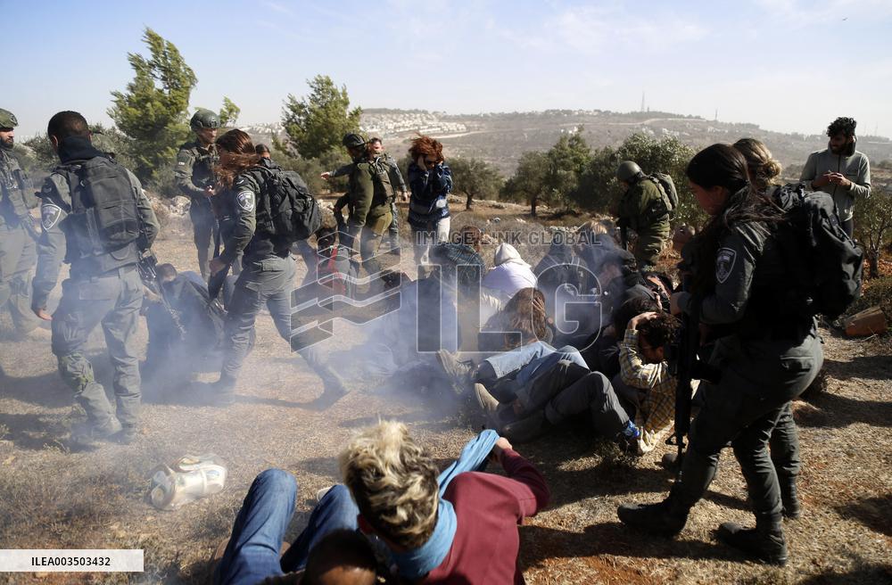 Israeli forces disperse activists who volunteer to pick olives with Palestinians in Bethlehem