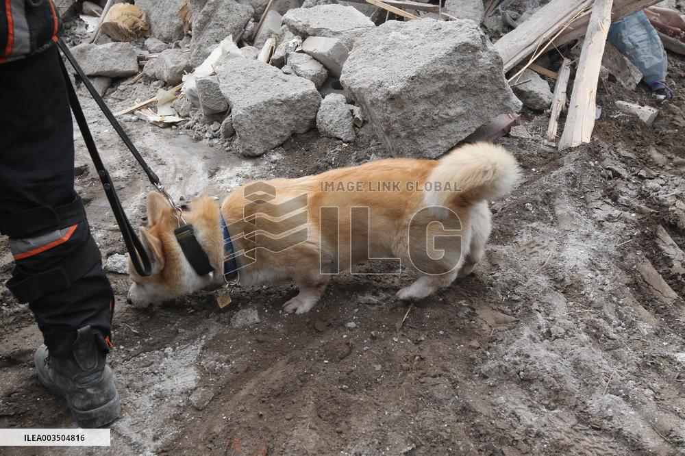 SAR dogs at work after Russian missile attack on Dnipro