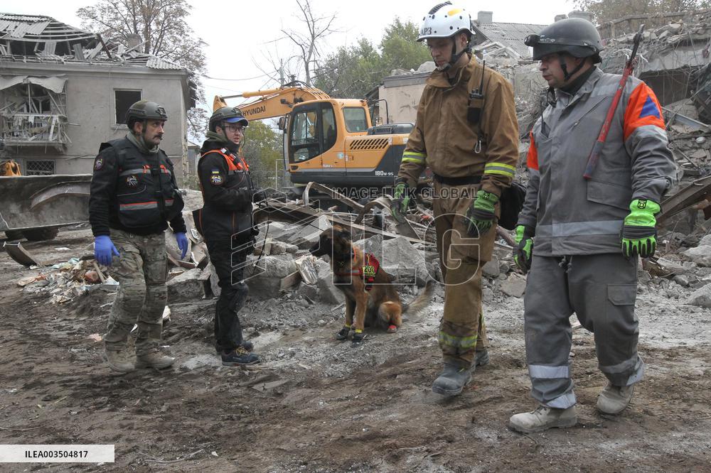 SAR dogs at work after Russian missile attack on Dnipro