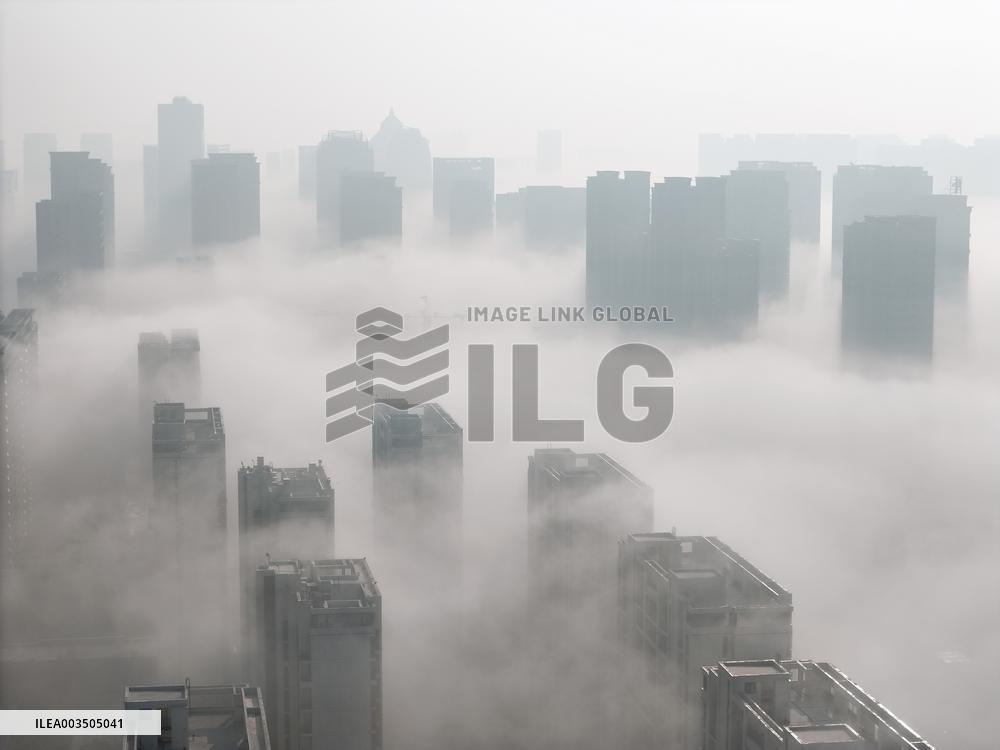 Advection Fog Hit Yantai