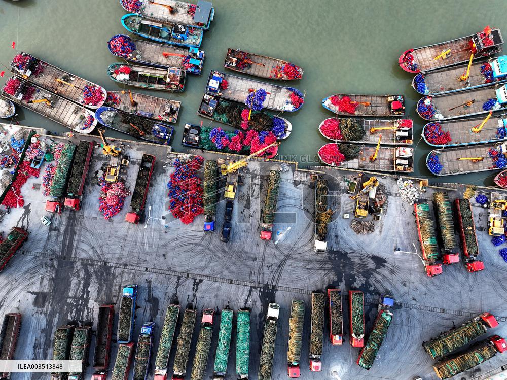 Oyster Farming in Lianyungang